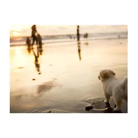 Haus Frauenpreiss Whg.202 Apartament