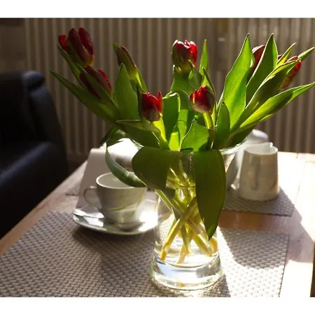Haus Frauenpreiss Whg.202 Apartamento *